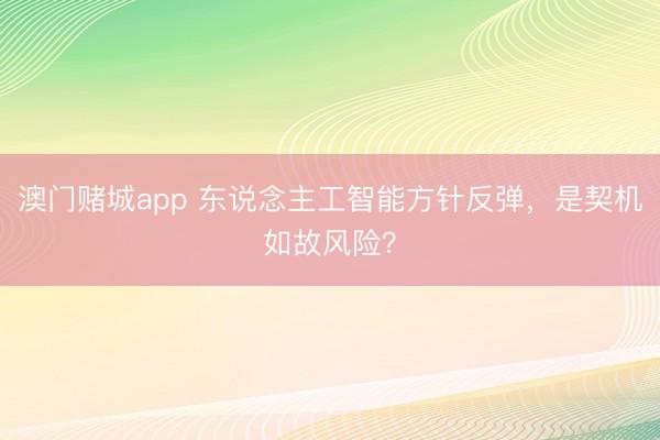 澳门赌城app 东说念主工智能方针反弹，是契机如故风险？