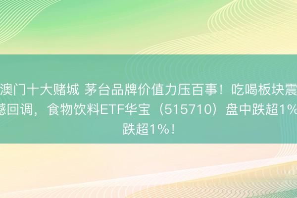 澳门十大赌城 茅台品牌价值力压百事!吃喝板块震憾回调,食物饮料ETF华宝(515710)盘中跌超1%!
