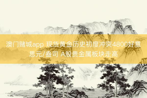 澳门赌城app 现货黄金历史初度冲突4800好意思元/盎司 A股贵金属板块走高