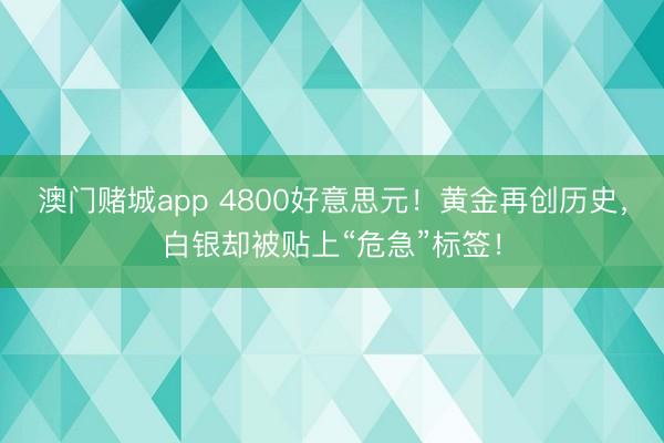 澳门赌城app 4800好意思元!黄金再创历史,白银却被贴上“危急”标签!