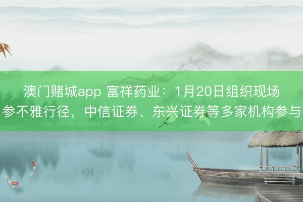 澳门赌城app 富祥药业：1月20日组织现场参不雅行径，中信证券、东兴证券等多家机构参与
