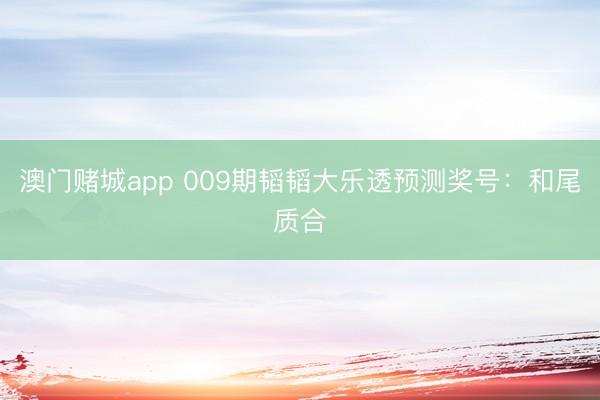 澳门赌城app 009期韬韬大乐透预测奖号：和尾质合
