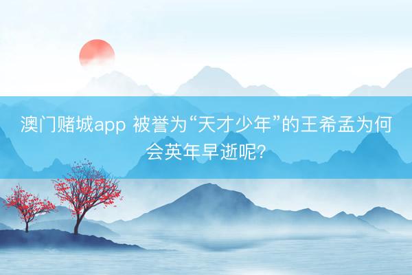 澳门赌城app 被誉为“天才少年”的王希孟为何会英年早逝呢？