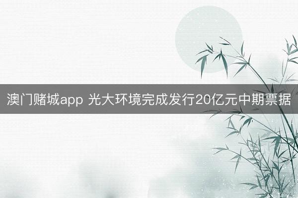澳门赌城app 光大环境完成发行20亿元中期票据