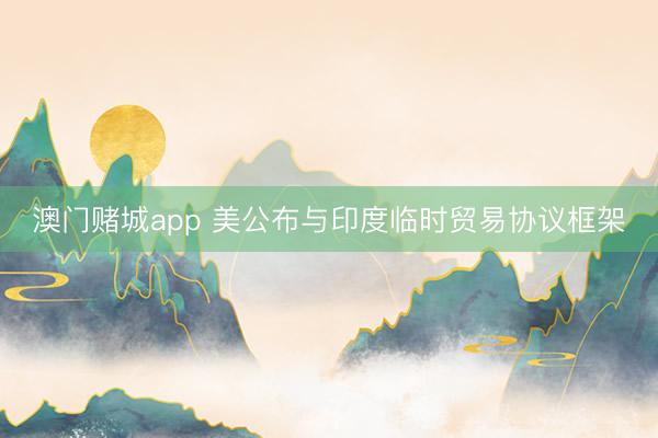 澳门赌城app 美公布与印度临时贸易协议框架