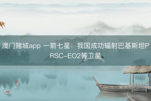 澳门赌城app 一箭七星：我国成功辐射巴基斯坦PRSC-EO2等卫星