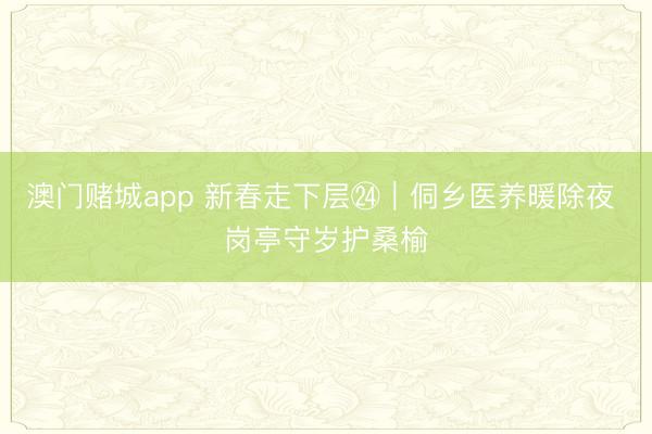 澳门赌城app 新春走下层㉔｜侗乡医养暖除夜 岗亭守岁护桑榆