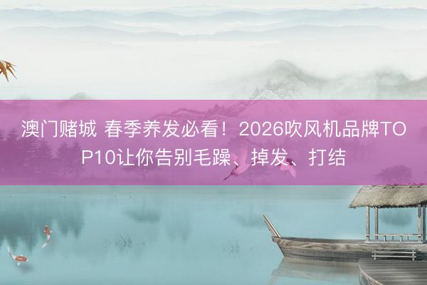 澳门赌城 春季养发必看！2026吹风机品牌TOP10让你告别毛躁、掉发、打结