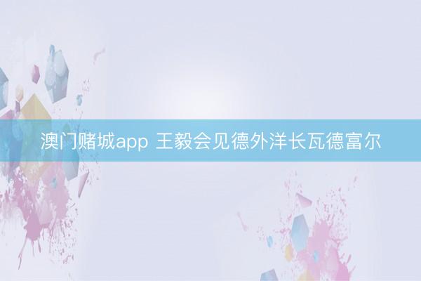 澳门赌城app 王毅会见德外洋长瓦德富尔