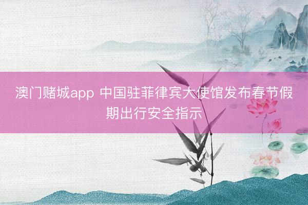 澳门赌城app 中国驻菲律宾大使馆发布春节假期出行安全指示