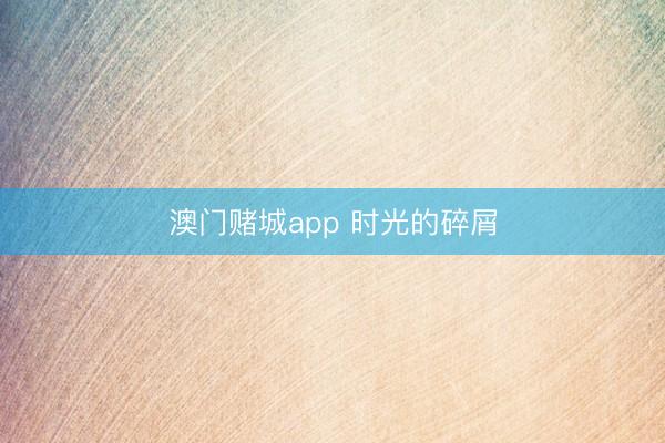 澳门赌城app 时光的碎屑