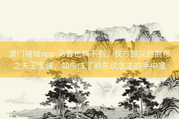 澳门赌城app 马蓉也料不到，我方毁灭的荆布之夫王宝强，如今成了别东说念主的手中宝