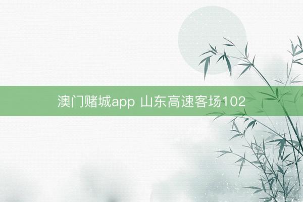 澳门赌城app 山东高速客场102