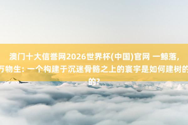 澳门十大信誉网2026世界杯(中国)官网 一鲸落， 万物生: 一个构建于沉迷骨骼之上的寰宇是如何建树的?
