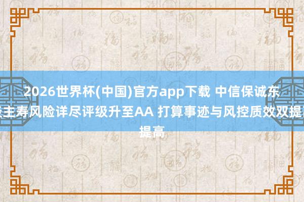 2026世界杯(中国)官方app下载 中信保诚东谈主寿风险详尽评级升至AA 打算事迹与风控质效双提高