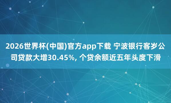 2026世界杯(中国)官方app下载 宁波银行客岁公司贷款大增30.45%， 个贷余额近五年头度下滑