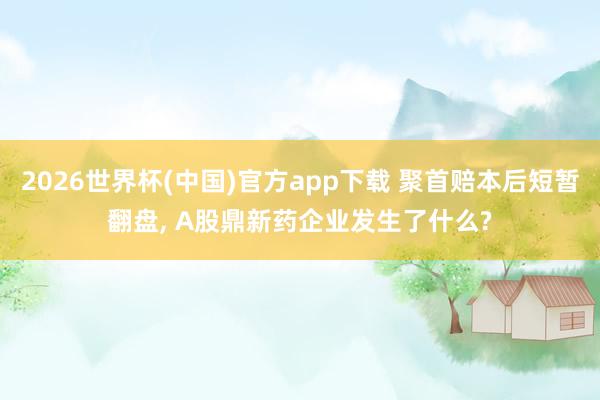 2026世界杯(中国)官方app下载 聚首赔本后短暂翻盘， A股鼎新药企业发生了什么?