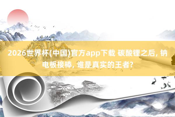 2026世界杯(中国)官方app下载 碳酸锂之后， 钠电板接棒， 谁是真实的王者?