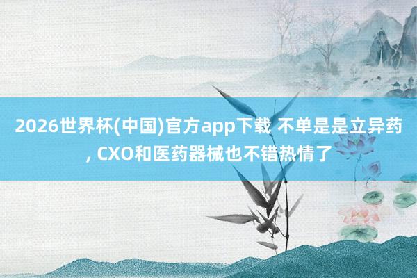 2026世界杯(中国)官方app下载 不单是是立异药， CXO和医药器械也不错热情了