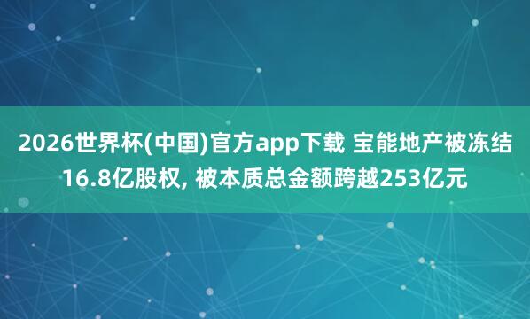 2026世界杯(中国)官方app下载 宝能地产被冻结16.8亿股权, 被本质总金额跨越253亿元