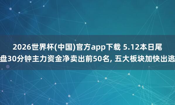 2026世界杯(中国)官方app下载 5.12本日尾盘30分钟主力资金净卖出前50名， 五大板块加快出逃