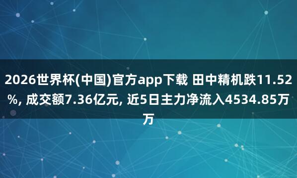 2026世界杯(中国)官方app下载 田中精机跌11.52%， 成交额7.36亿元， 近5日主力净流入4534.85万