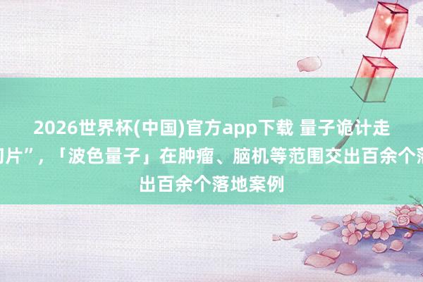 2026世界杯(中国)官方app下载 量子诡计走出“科幻片”， 「波色量子」在肿瘤、脑机等范围交出百余个落地案例