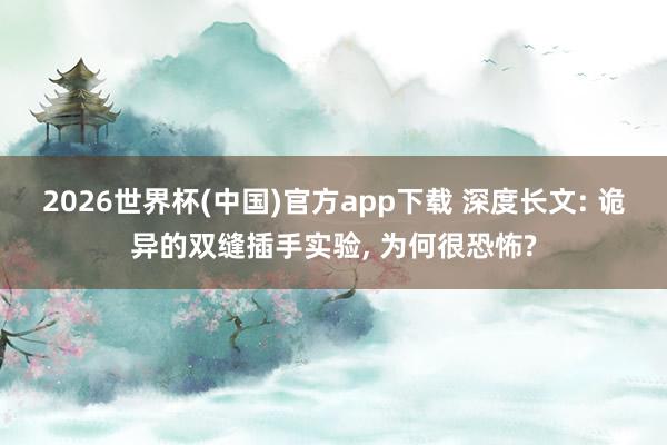 2026世界杯(中国)官方app下载 深度长文: 诡异的双缝插手实验， 为何很恐怖?