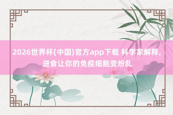 2026世界杯(中国)官方app下载 科学家解释， 进食让你的免疫细胞变纷乱