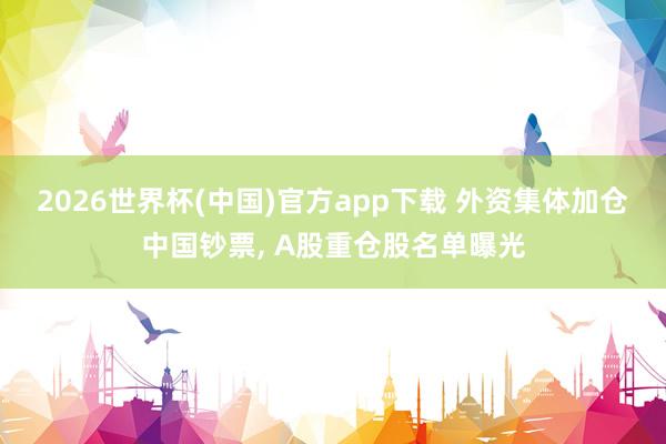 2026世界杯(中国)官方app下载 外资集体加仓中国钞票， A股重仓股名单曝光