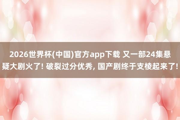 2026世界杯(中国)官方app下载 又一部24集悬疑大剧火了! 破裂过分优秀， 国产剧终于支棱起来了!