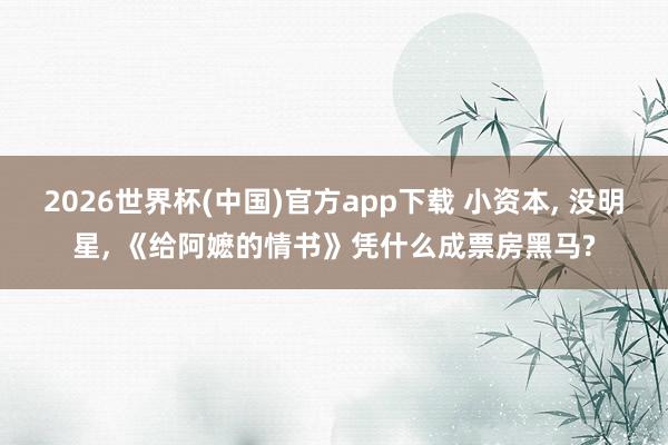 2026世界杯(中国)官方app下载 小资本， 没明星， 《给阿嬷的情书》凭什么成票房黑马?