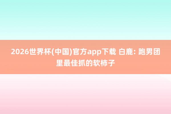 2026世界杯(中国)官方app下载 白鹿: 跑男团里最佳抓的软柿子