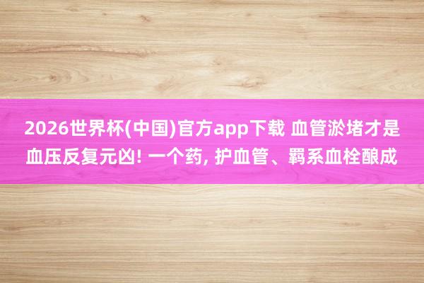 2026世界杯(中国)官方app下载 血管淤堵才是血压反复元凶! 一个药， 护血管、羁系血栓酿成