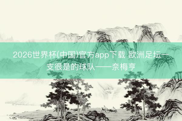 2026世界杯(中国)官方app下载 欧洲足坛一支很是的球队——奈梅亨