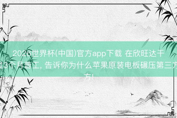 2026世界杯(中国)官方app下载 在欣旺达干过3个月普工， 告诉你为什么苹果原装电板碾压第三方!