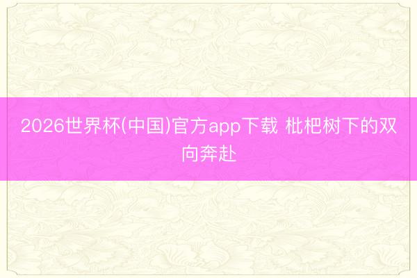 2026世界杯(中国)官方app下载 枇杷树下的双向奔赴