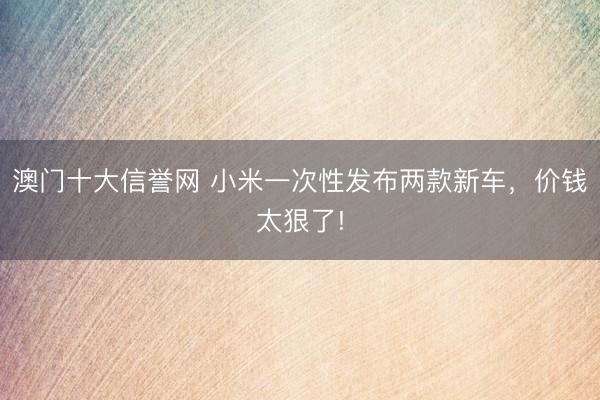 澳门十大信誉网 小米一次性发布两款新车，价钱太狠了!