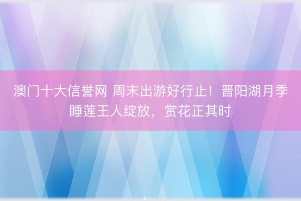 澳门十大信誉网 周末出游好行止！晋阳湖月季睡莲王人绽放，赏花正其时