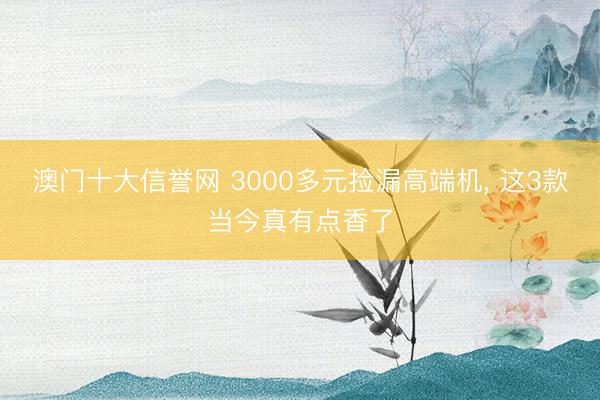 澳门十大信誉网 3000多元捡漏高端机， 这3款当今真有点香了