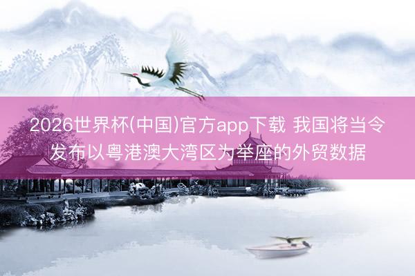2026世界杯(中国)官方app下载 我国将当令发布以粤港澳大湾区为举座的外贸数据