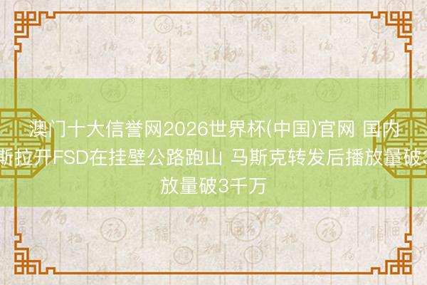 澳门十大信誉网2026世界杯(中国)官网 国内一特斯拉开FSD在挂壁公路跑山 马斯克转发后播放量破3千万