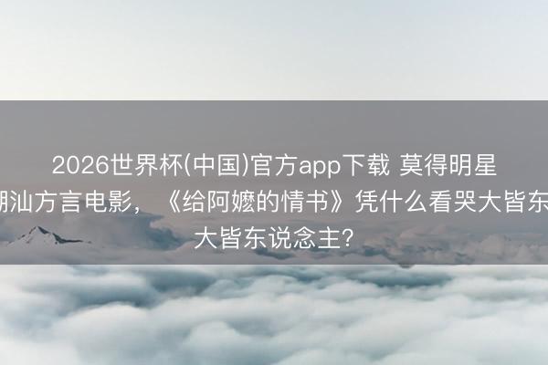 2026世界杯(中国)官方app下载 莫得明星大导的潮汕方言电影，《给阿嬷的情书》凭什么看哭大皆东说念主？