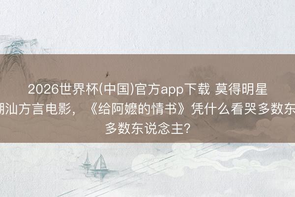 2026世界杯(中国)官方app下载 莫得明星大导的潮汕方言电影，《给阿嬷的情书》凭什么看哭多数东说念主？