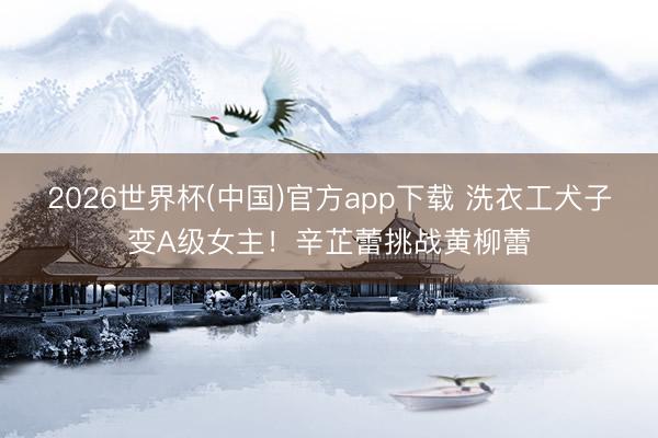 2026世界杯(中国)官方app下载 洗衣工犬子变A级女主！辛芷蕾挑战黄柳蕾
