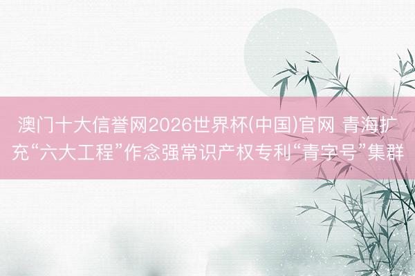澳门十大信誉网2026世界杯(中国)官网 青海扩充“六大工程”作念强常识产权专利“青字号”集群