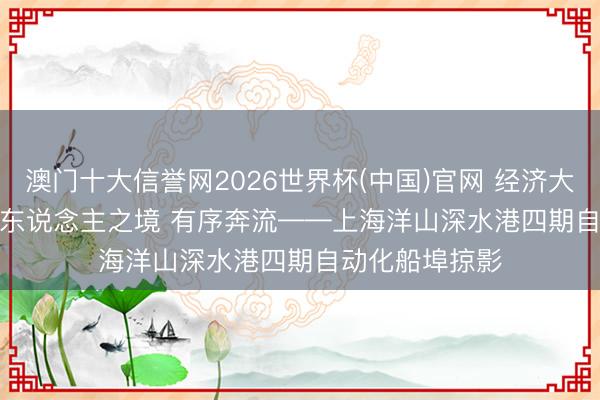 澳门十大信誉网2026世界杯(中国)官网 经济大省调研行丨无东说念主之境 有序奔流——上海洋山深水港四期自动化船埠掠影
