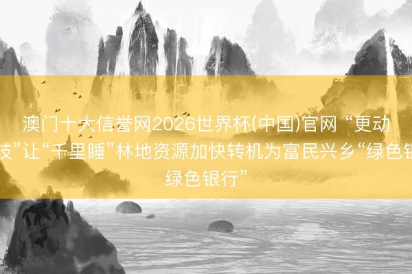 澳门十大信誉网2026世界杯(中国)官网 “更动+科技”让“千里睡”林地资源加快转机为富民兴乡“绿色银行”