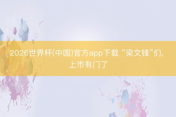 2026世界杯(中国)官方app下载 “梁文锋”们， 上市有门了